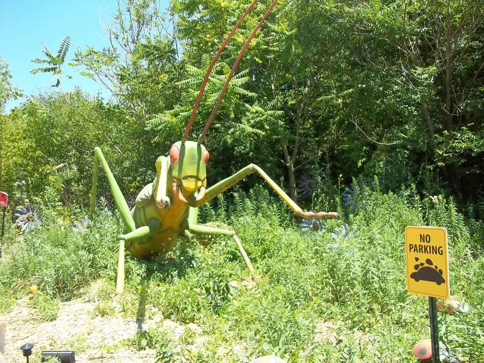 Summer Exhibit Xtreme Bugs