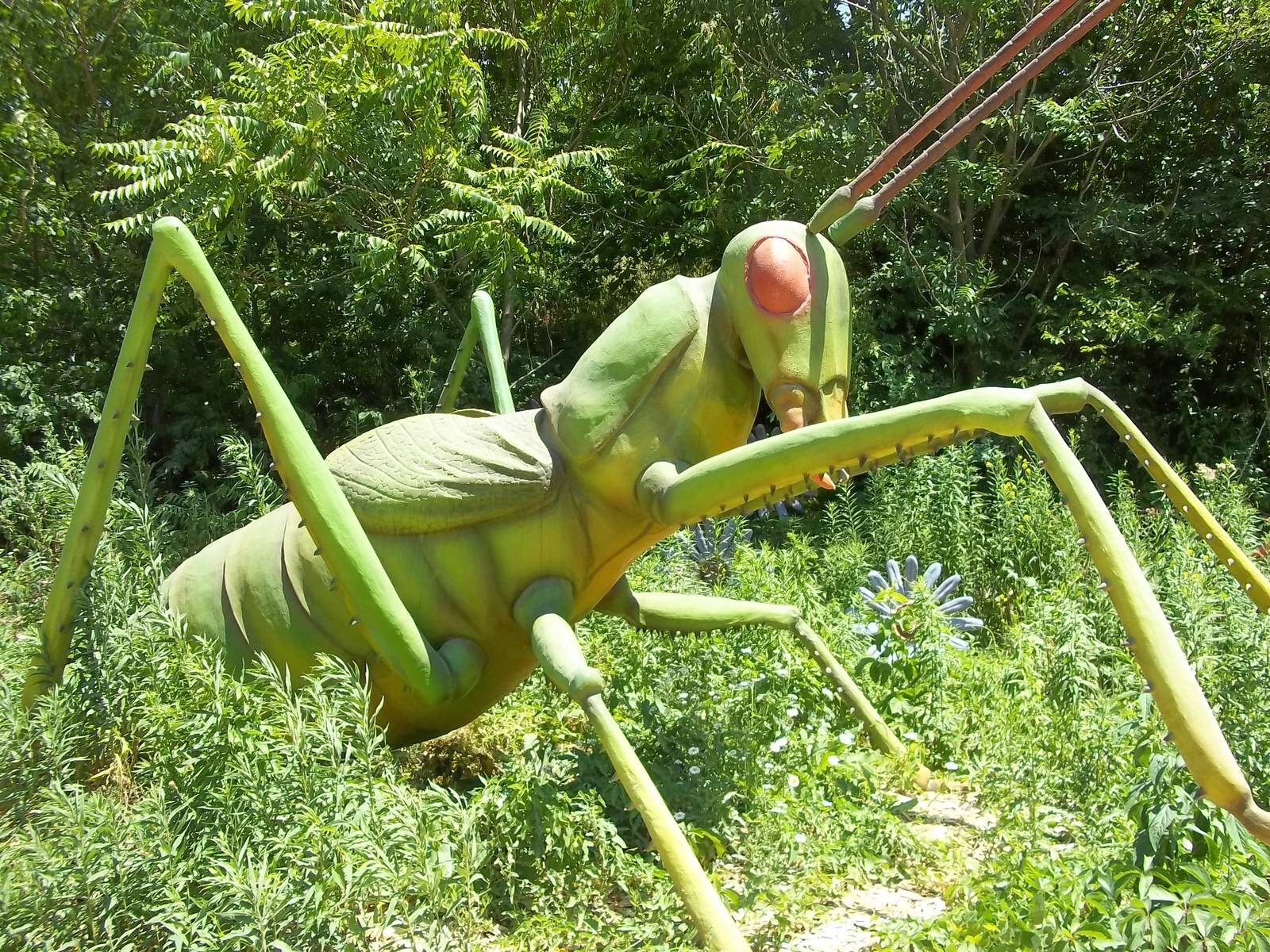 Summer Exhibit Xtreme Bugs