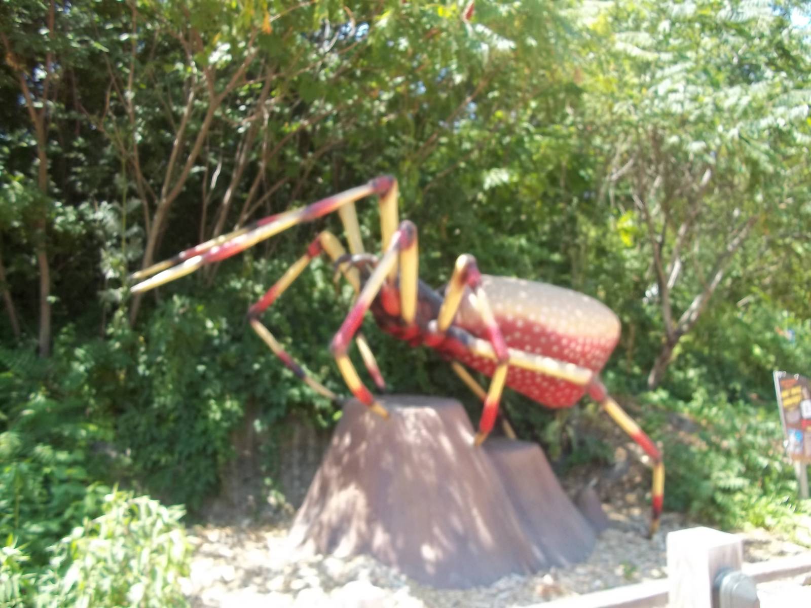 Summer Exhibit Xtreme Bugs
