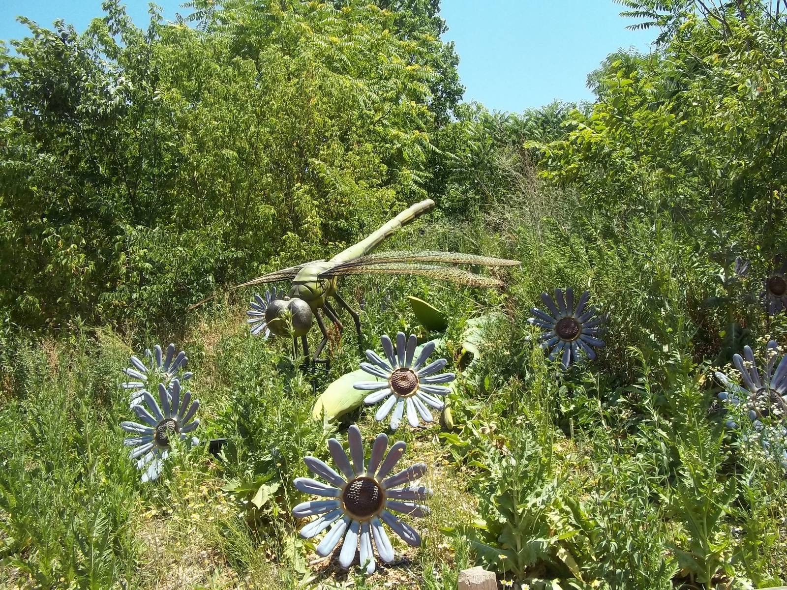 Summer Exhibit Xtreme Bugs