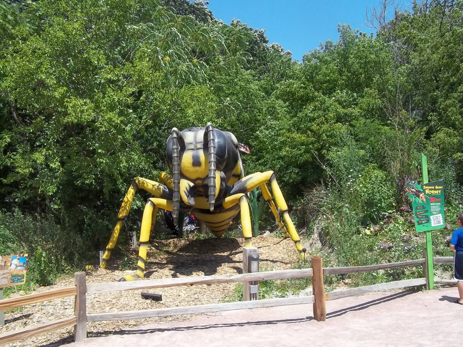 Summer Exhibit Xtreme Bugs