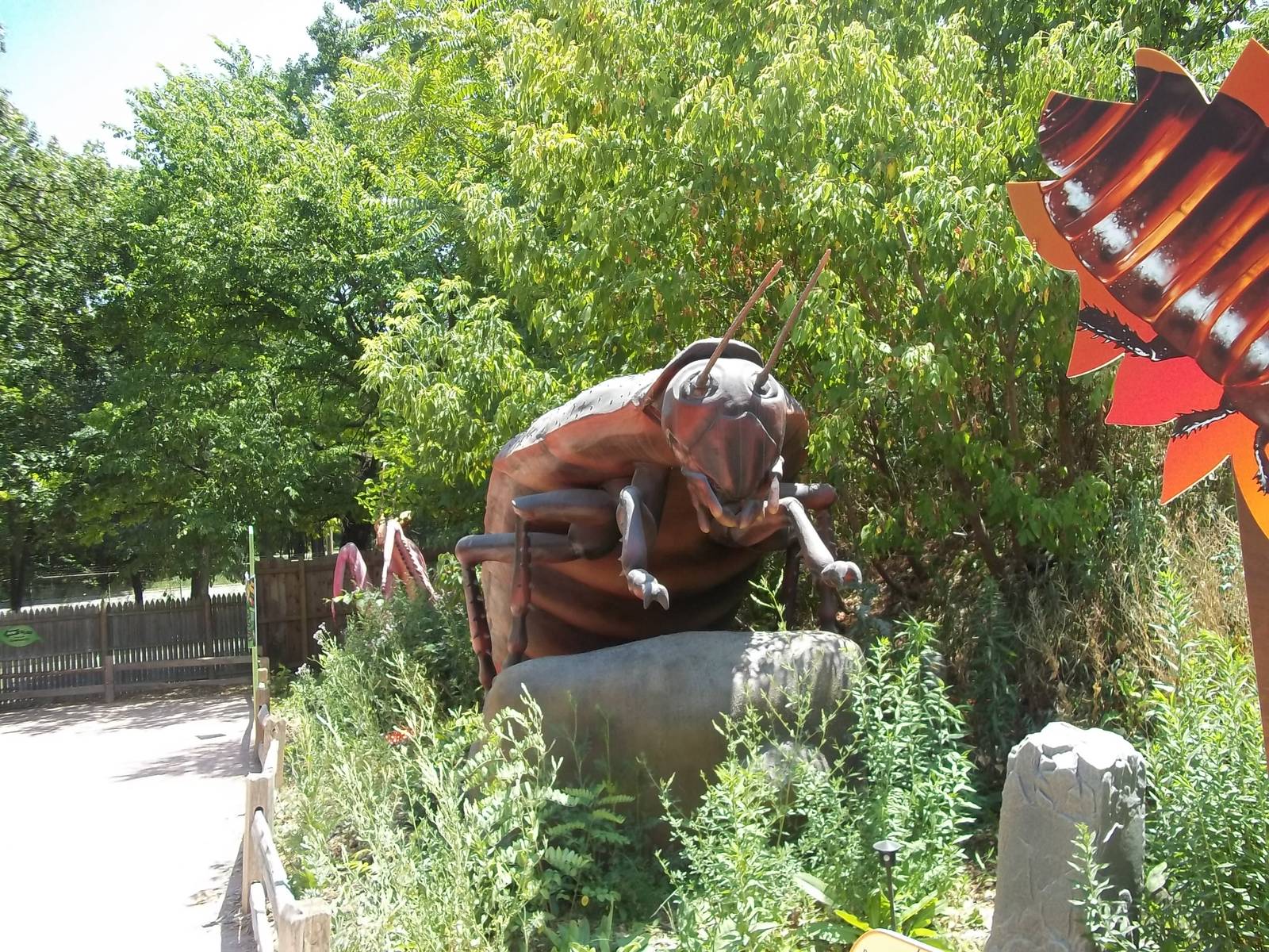 Summer Exhibit Xtreme Bugs