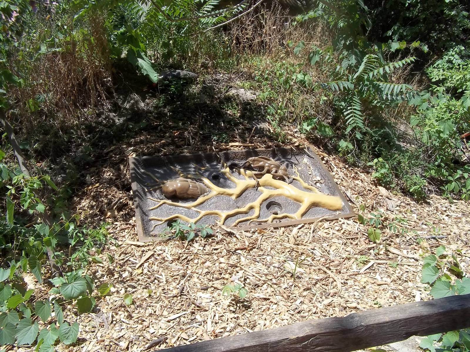 Summer Exhibit Xtreme Bugs