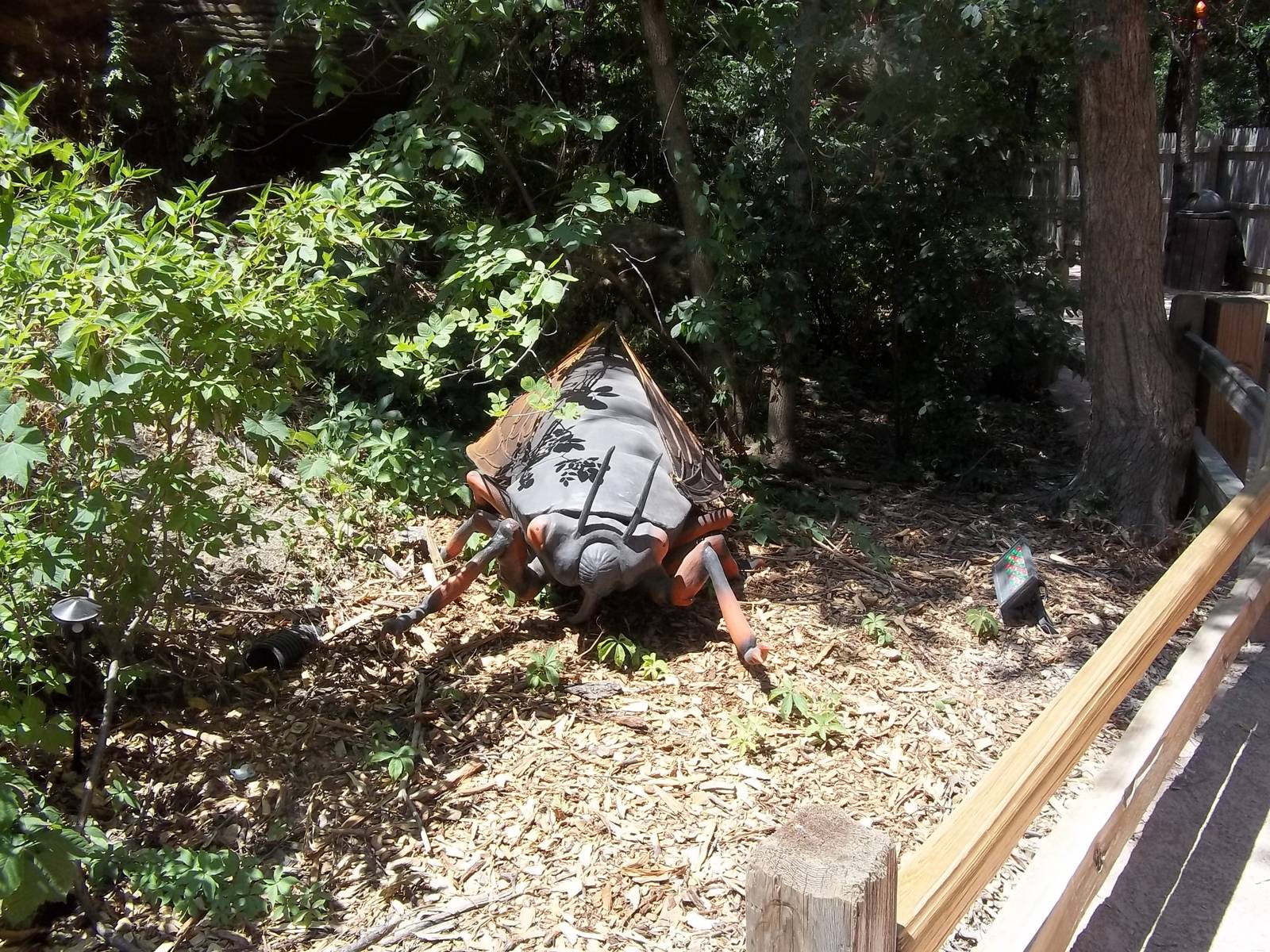 Summer Exhibit Xtreme Bugs