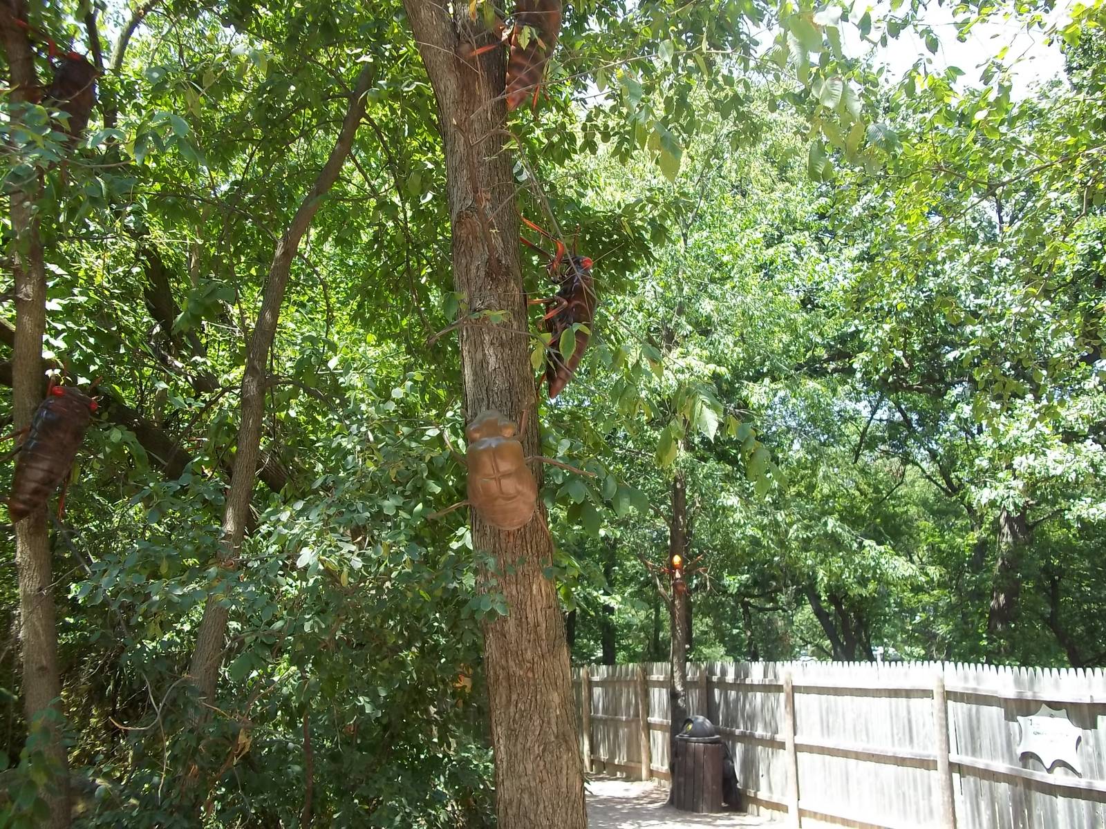 Summer Exhibit Xtreme Bugs