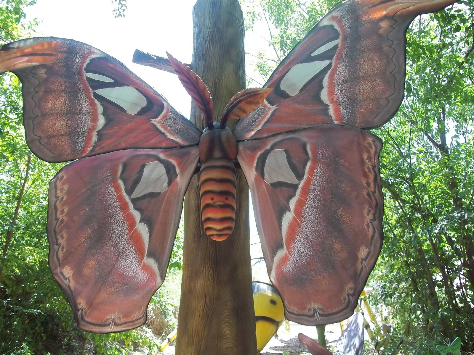 Summer Exhibit Xtreme Bugs