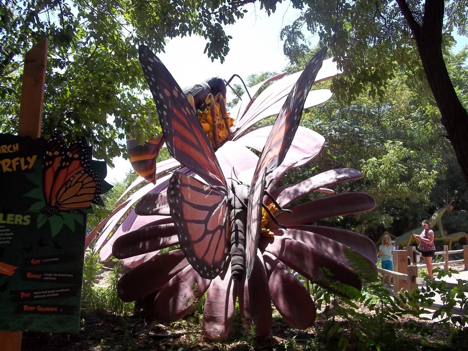 Summer Exhibit Xtreme Bugs