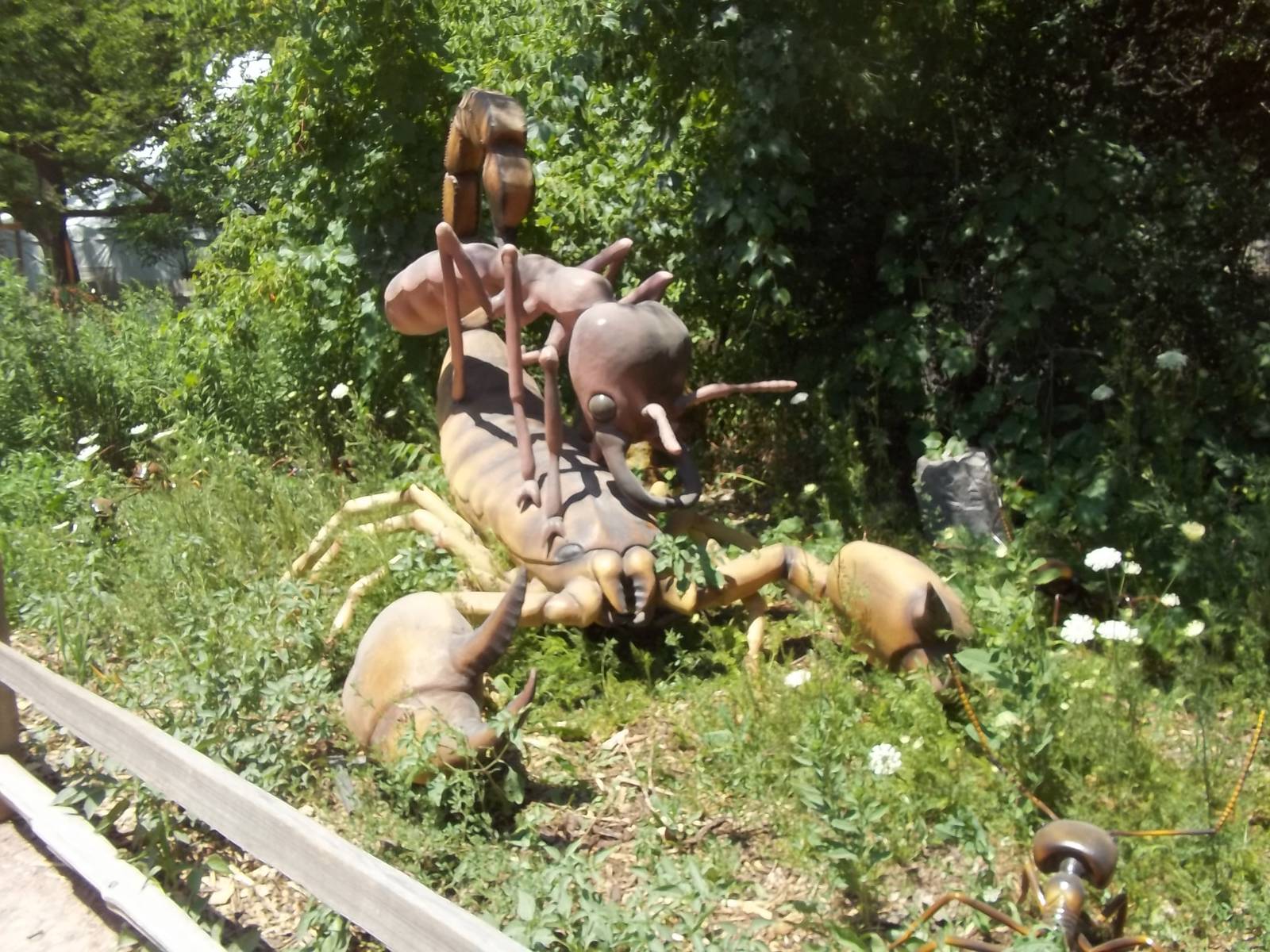 Summer Exhibit Xtreme Bugs