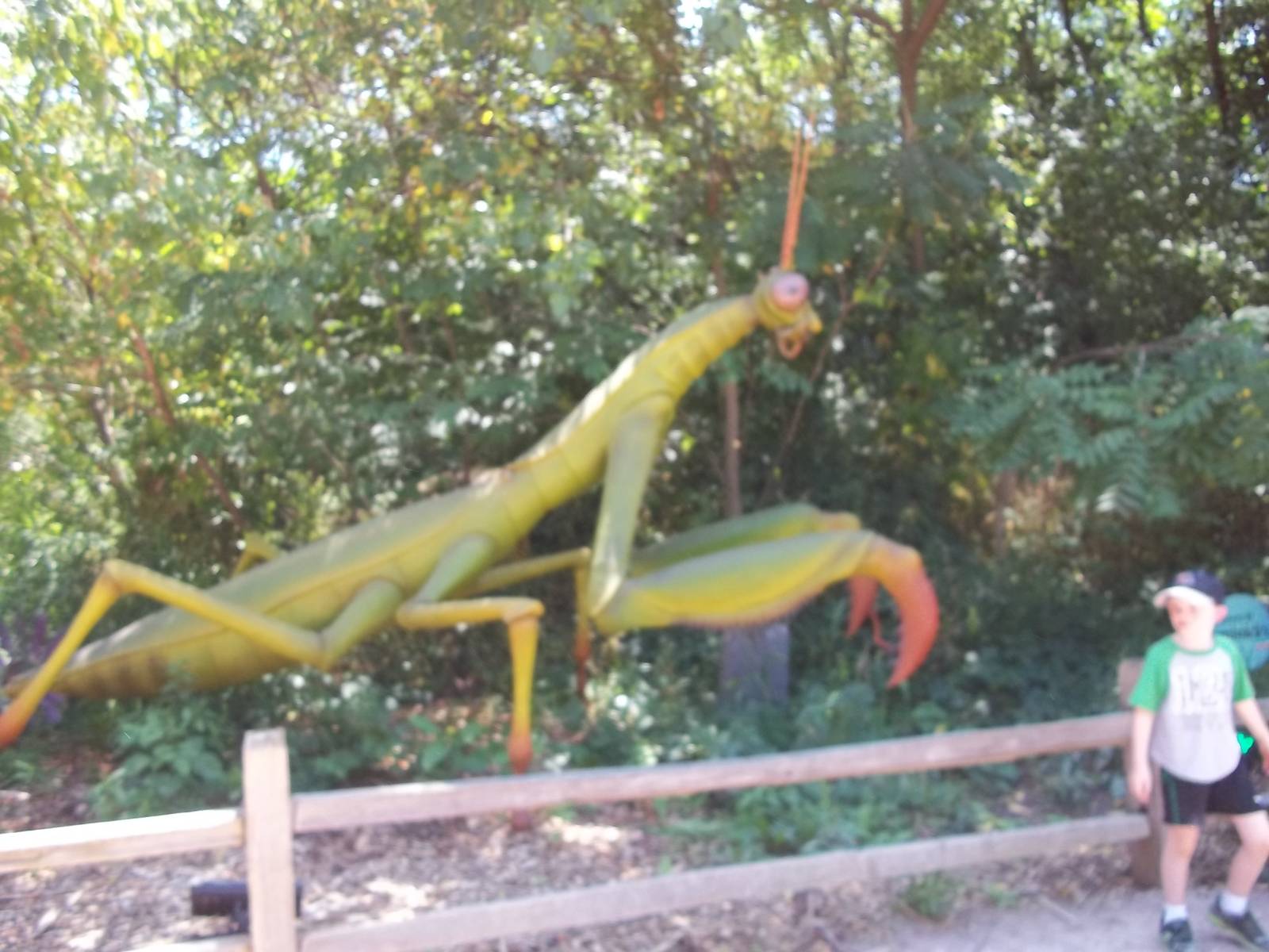 Summer Exhibit Xtreme Bugs