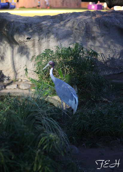 Summer Friday Nights