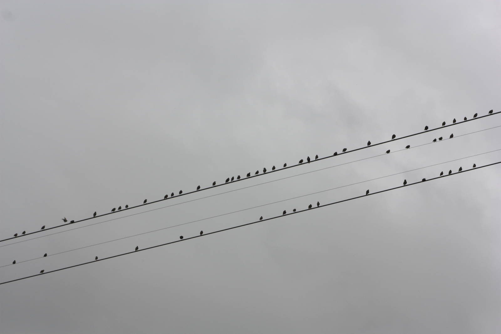 Summer is nearly over, 1st September 2014