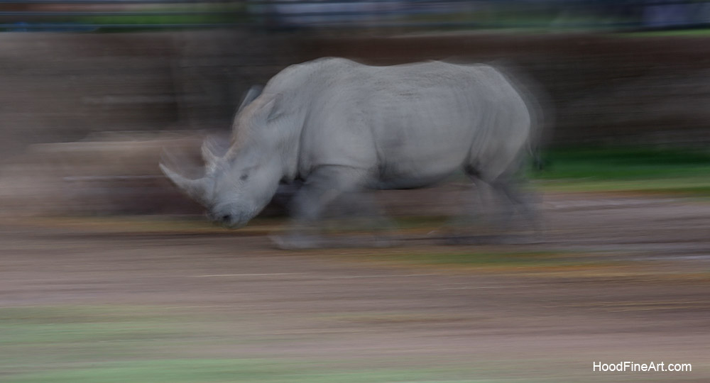 summer night opening, june 27, 2014