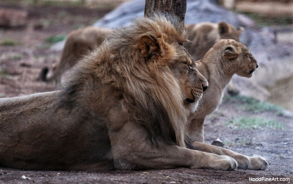summer night opening, june 27, 2014