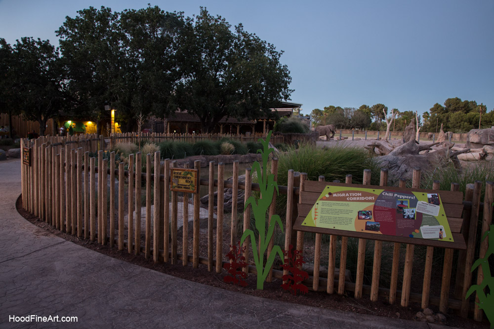 summer night opening, june 27, 2014