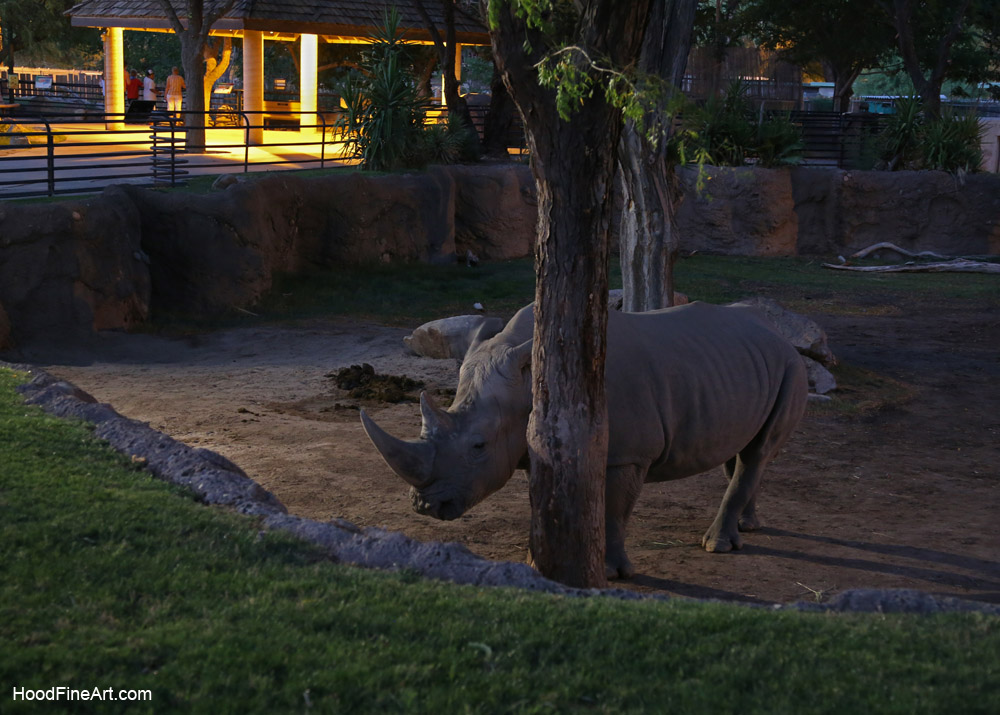 summer night opening, june 27, 2014