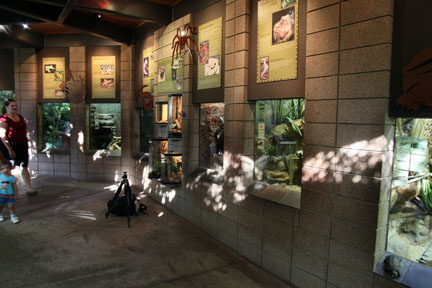 summer nighttime zoo, august 6, 2010