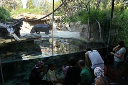 summer nighttime zoo, august 6, 2010