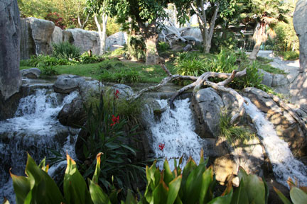 summer nighttime zoo, august 6, 2010