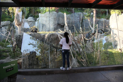 summer nighttime zoo, august 6, 2010