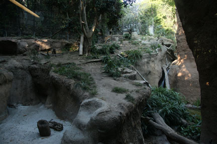 summer nighttime zoo, august 6, 2010