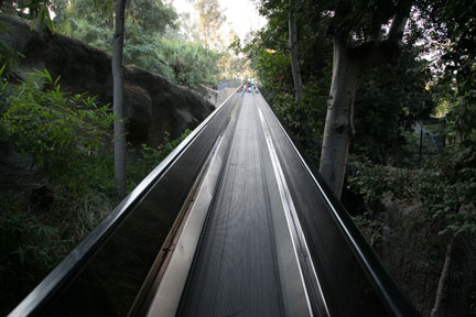 summer nighttime zoo, august 6, 2010