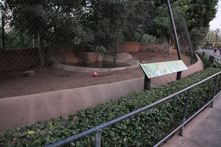 summer nighttime zoo, august 6, 2010