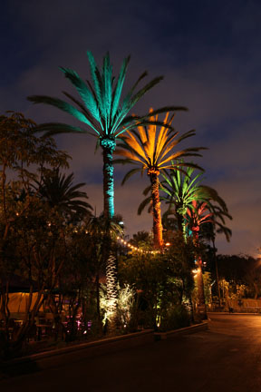 summer nighttime zoo, august 6, 2010