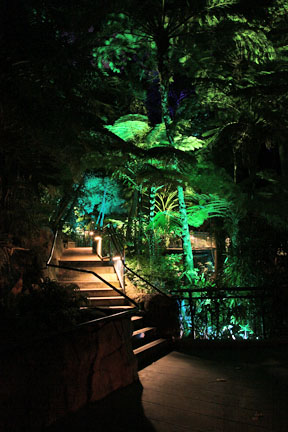 summer nighttime zoo, august 6, 2010