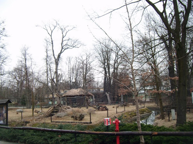 Summer paddock of lemures