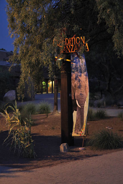 Summer Safari Nights, June 22, 2012