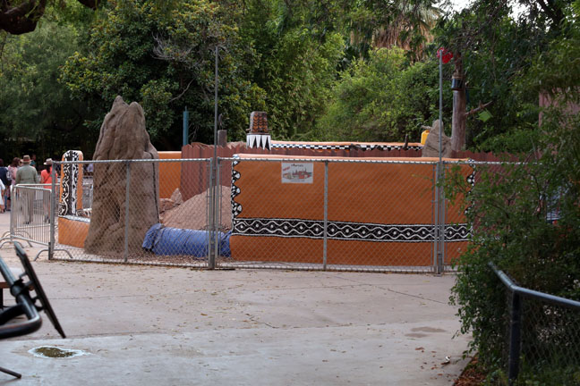 Summer Safari Nights