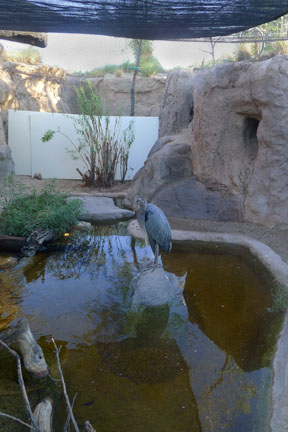 Summer Saturday Nights - Aug 18, 2012