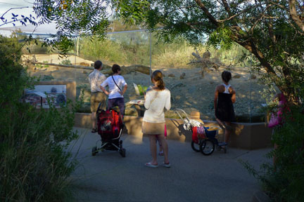 Summer Saturday Nights - Aug 18, 2012