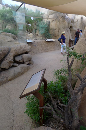 Summer Saturday Nights - Aug 18, 2012