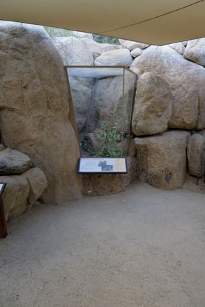 Summer Saturday Nights - Aug 18, 2012