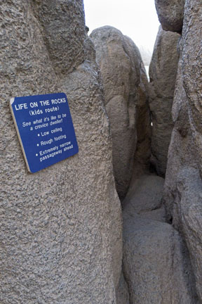 Summer Saturday Nights - Aug 18, 2012