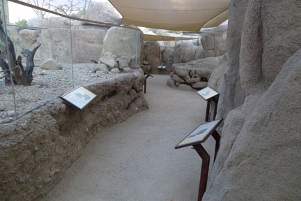 Summer Saturday Nights - Aug 18, 2012