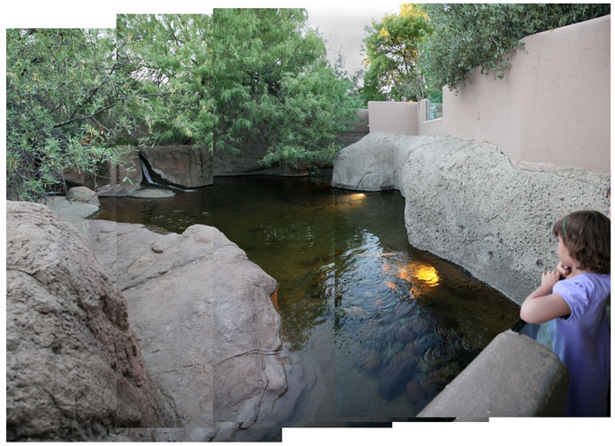 summer Saturday nights