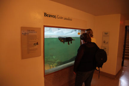 summer Saturday nights