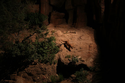 summer Saturday nights