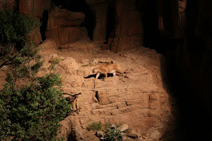 summer Saturday nights