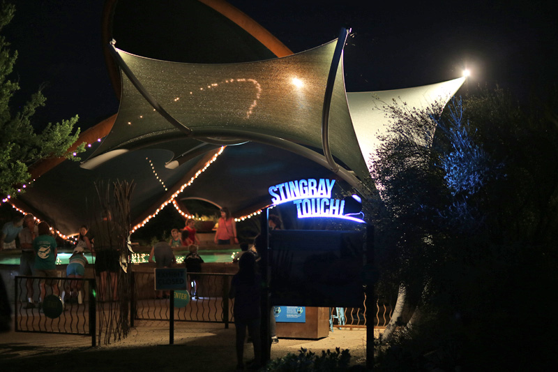 Summer Saturday Nights