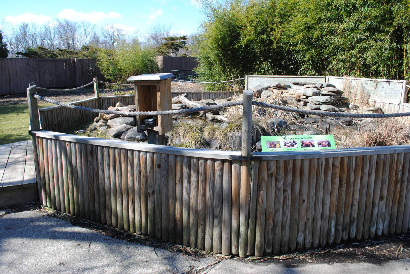 Summer Turtle Pen (4 species)