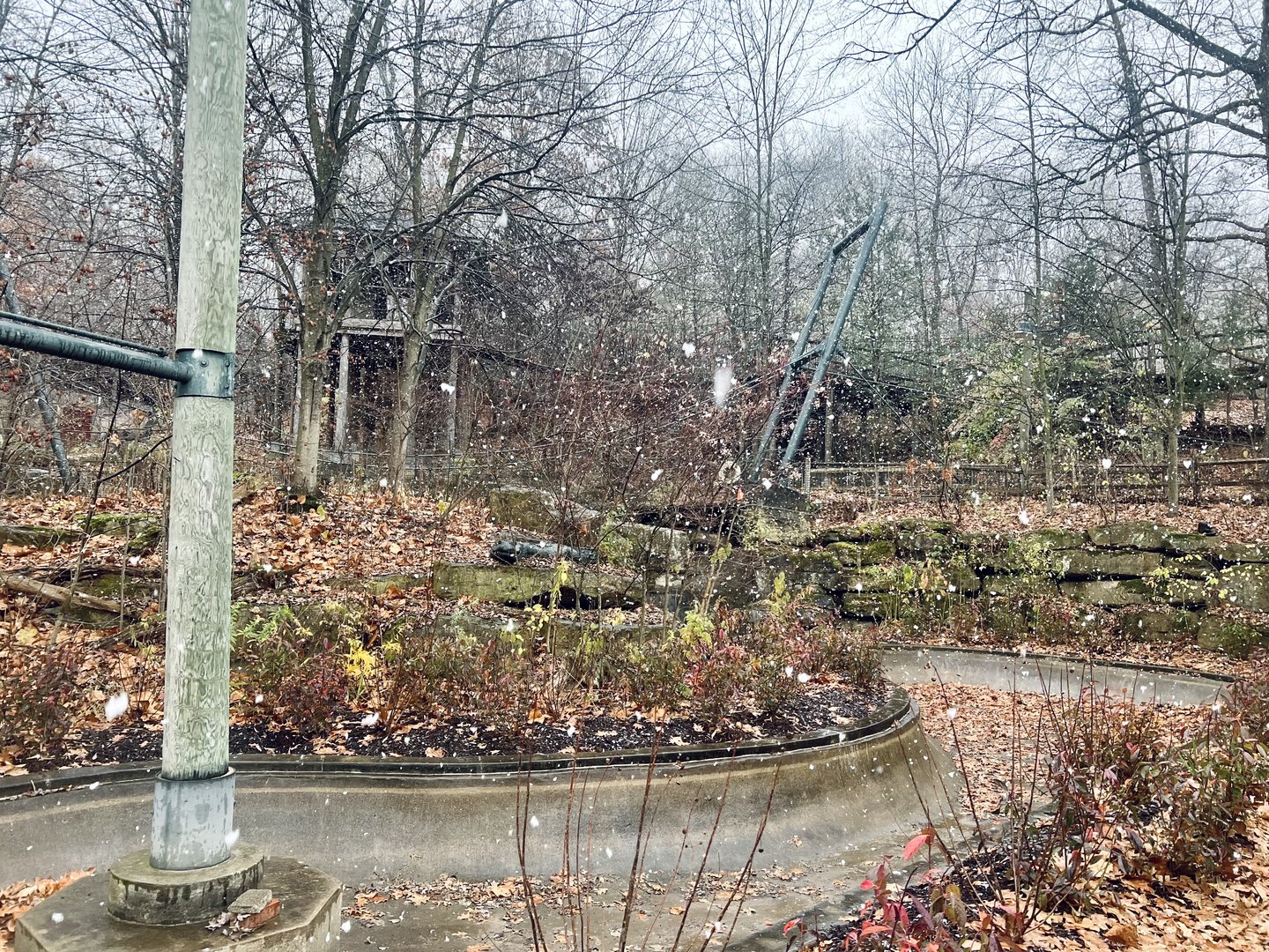 Summertime Alligator Exhibit? No I a