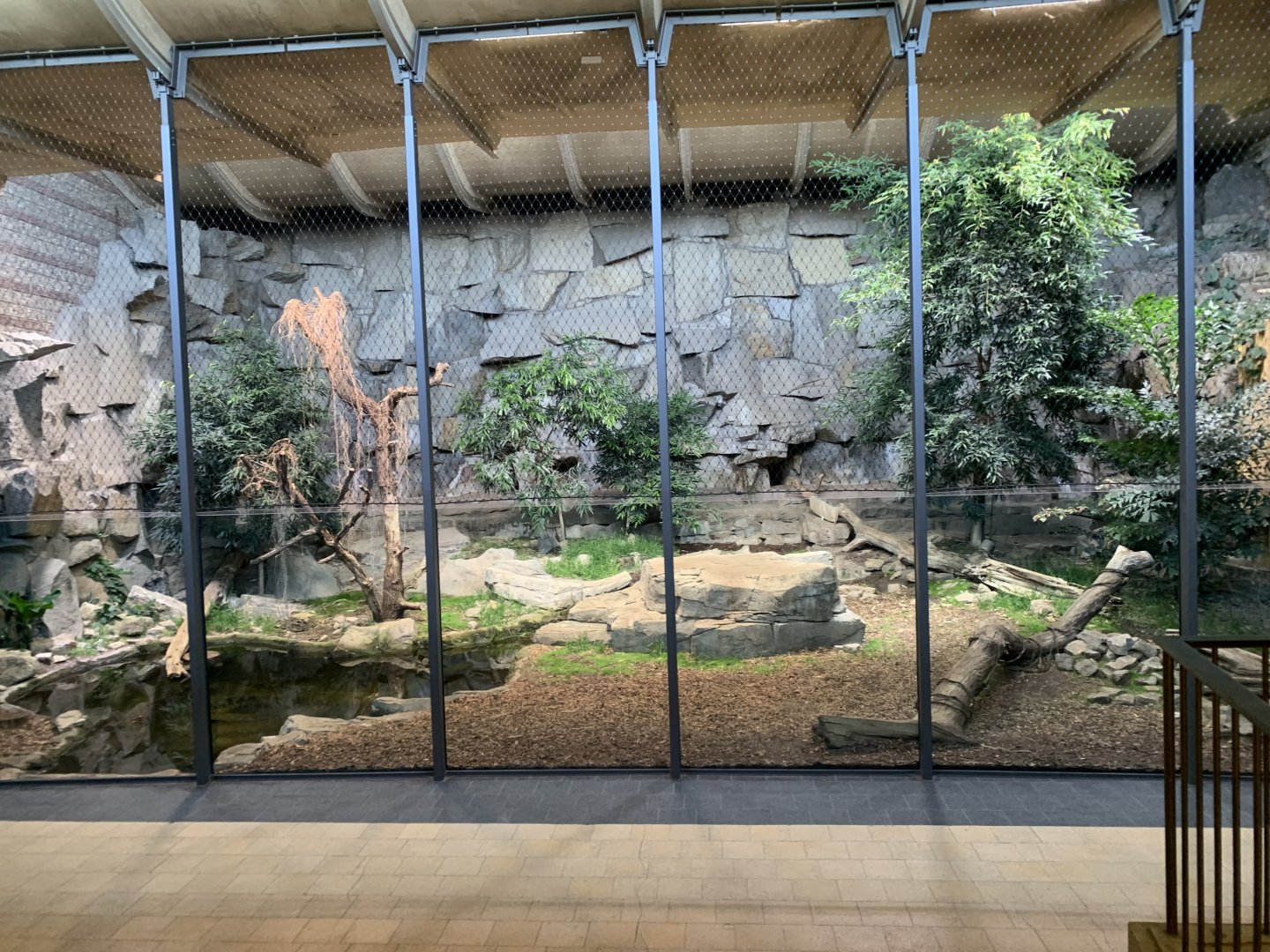 Sun bear and binturong indoor enclosure