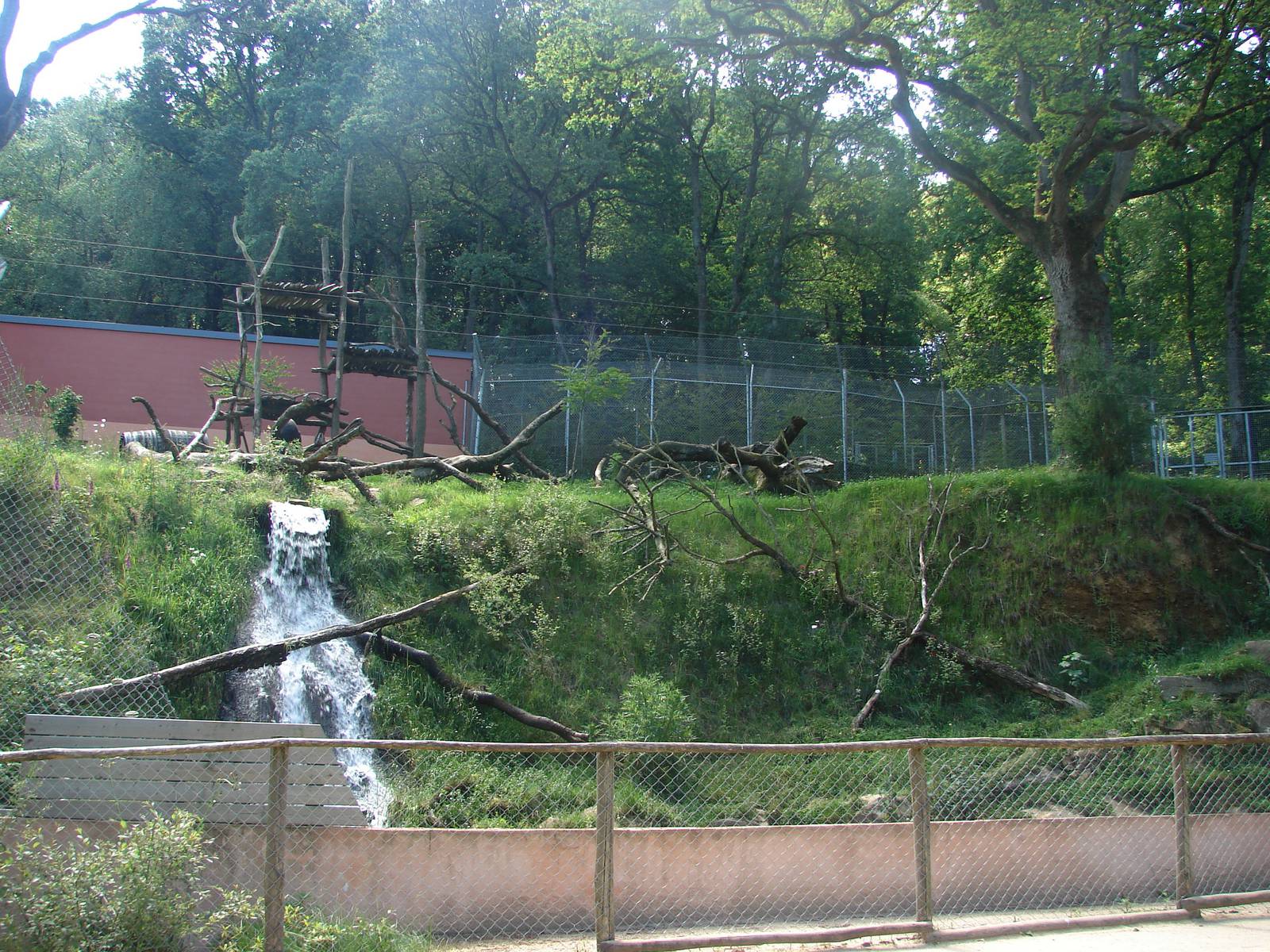 Sun bear and dhole exhibit