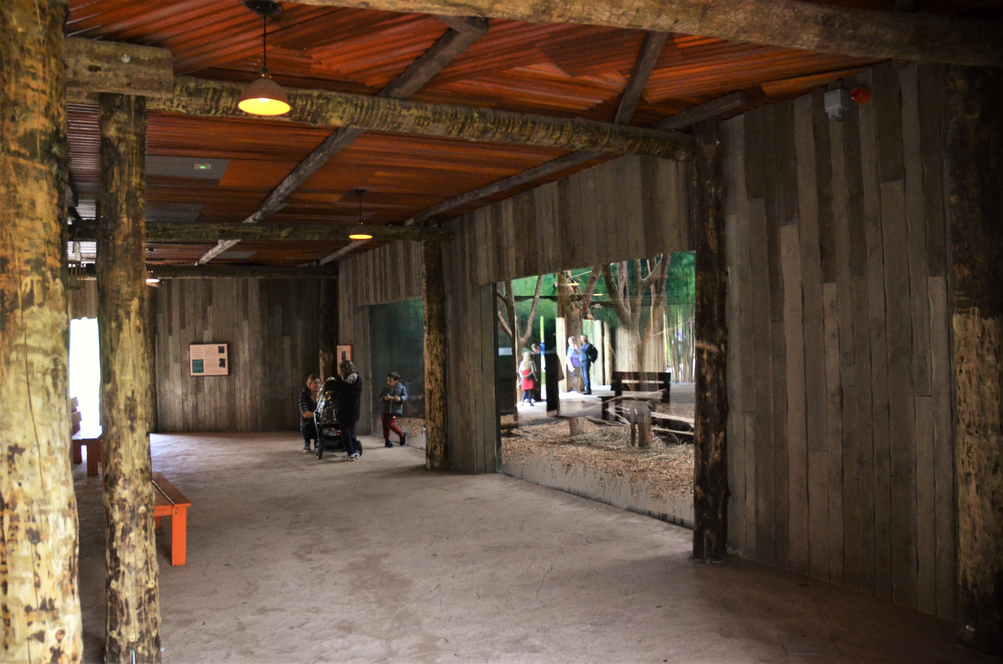 Sun Bear/Binturong Indoor Viewing Area at Chester, 30/09/17