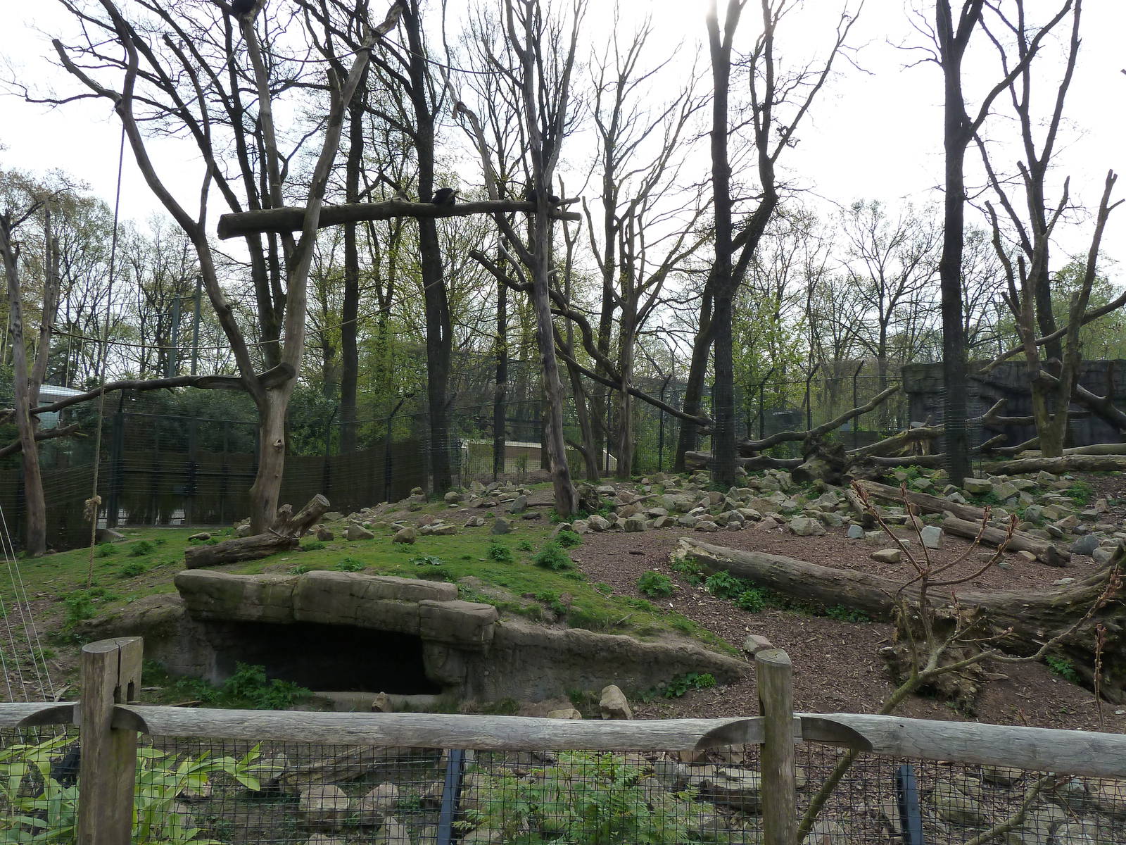 Sun bear & Birunteng exhibit
