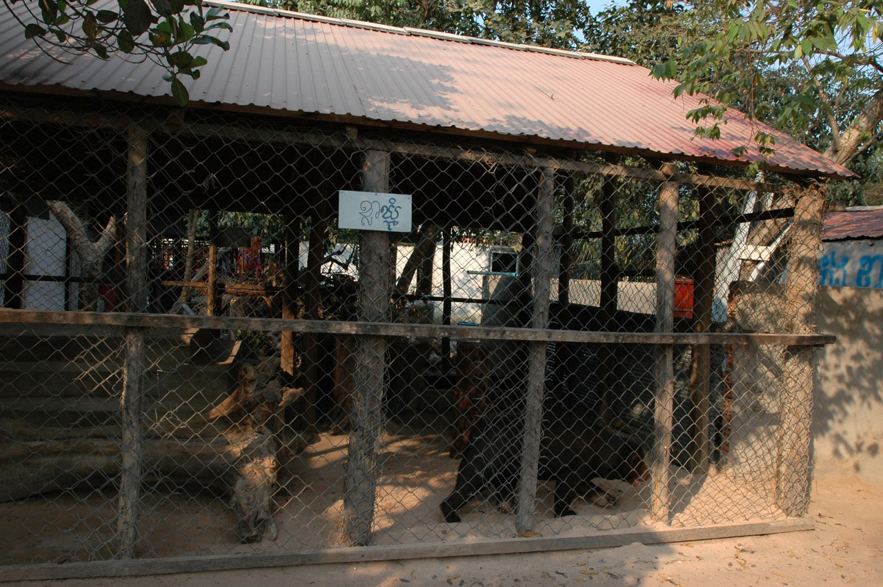 Sun Bear cage, Angkor Zoo - 2005