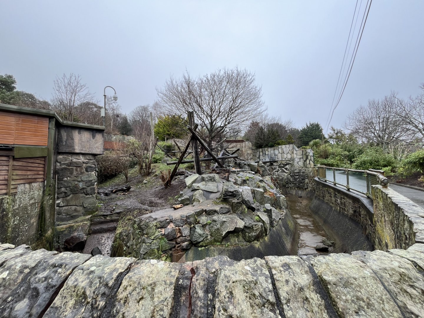 Sun bear enclosure (0.5 zoom) 10.2.24